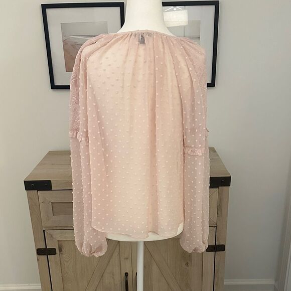 Express Pink Ruffle Blouse - Picture 3 of 4